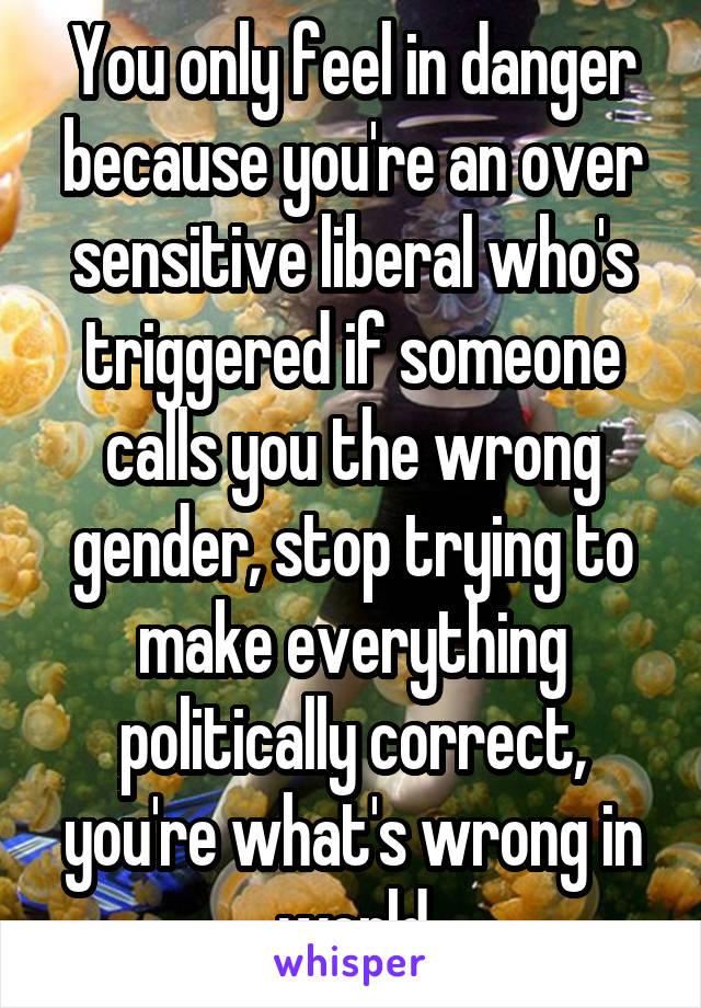 You only feel in danger because you're an over sensitive liberal who's triggered if someone calls you the wrong gender, stop trying to make everything politically correct, you're what's wrong in world