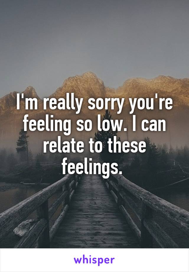 I'm really sorry you're feeling so low. I can relate to these feelings. 