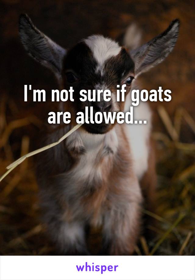 I'm not sure if goats are allowed...


