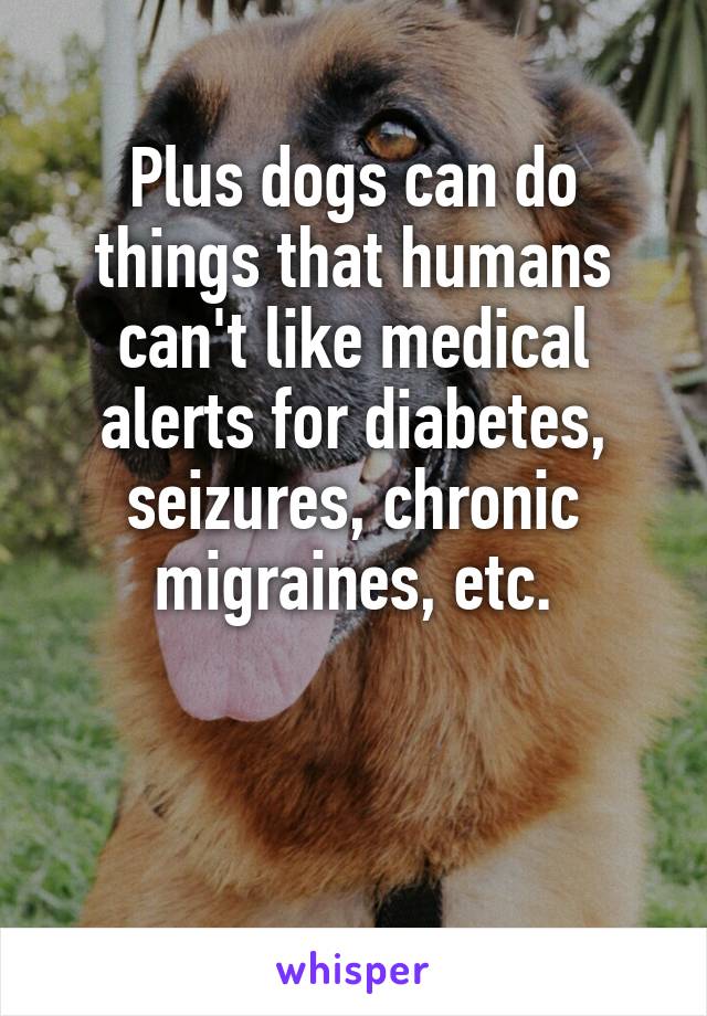 Plus dogs can do things that humans can't like medical alerts for diabetes, seizures, chronic migraines, etc.


