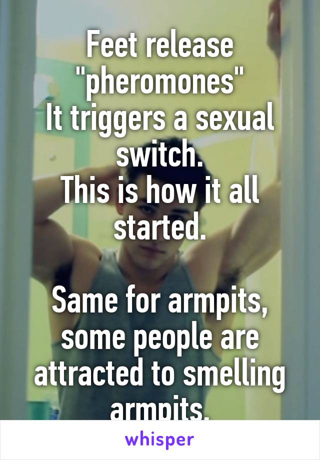 Feet release "pheromones"
It triggers a sexual switch.
This is how it all started.

Same for armpits, some people are attracted to smelling armpits.