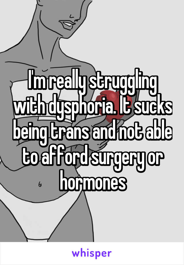 I'm really struggling with dysphoria. It sucks being trans and not able to afford surgery or hormones