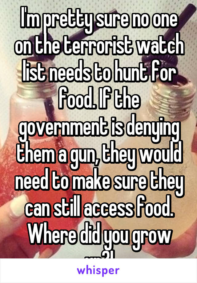 I'm pretty sure no one on the terrorist watch list needs to hunt for food. If the government is denying them a gun, they would need to make sure they can still access food. Where did you grow up?!