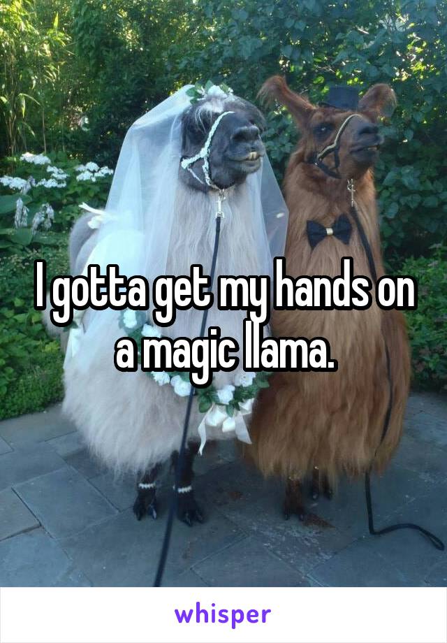 I gotta get my hands on a magic llama.