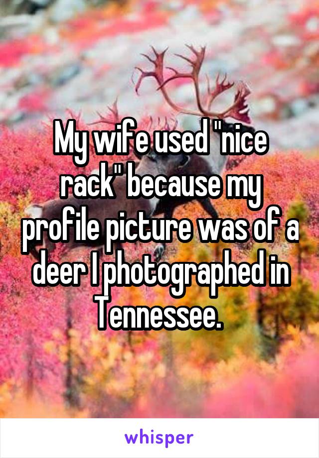 My wife used "nice rack" because my profile picture was of a deer I photographed in Tennessee. 