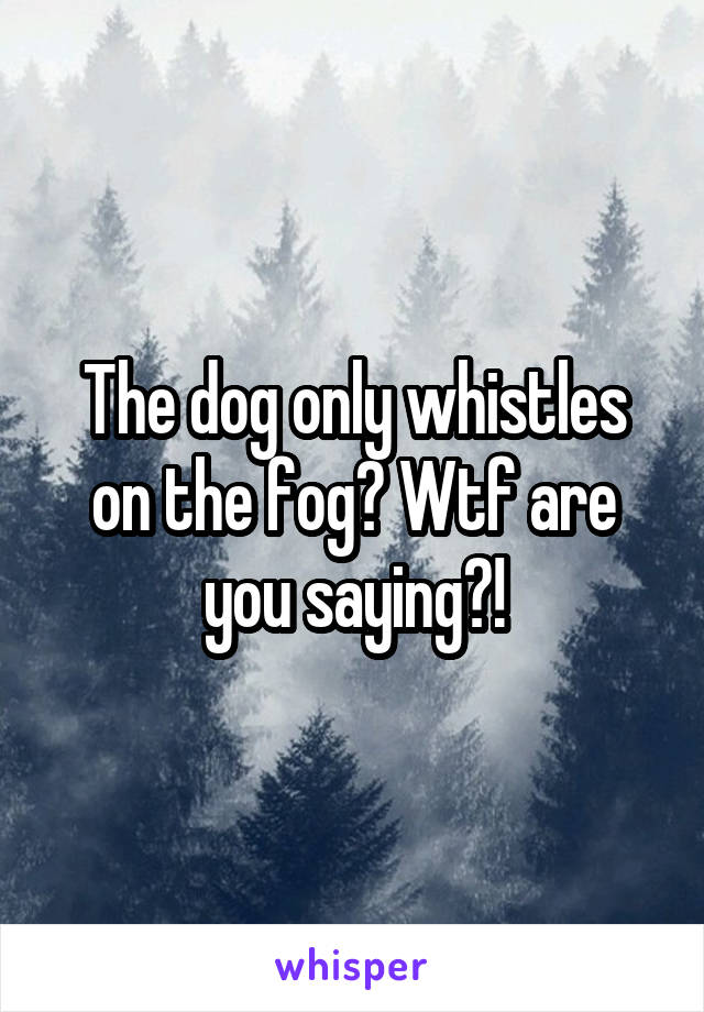 The dog only whistles on the fog? Wtf are you saying?!