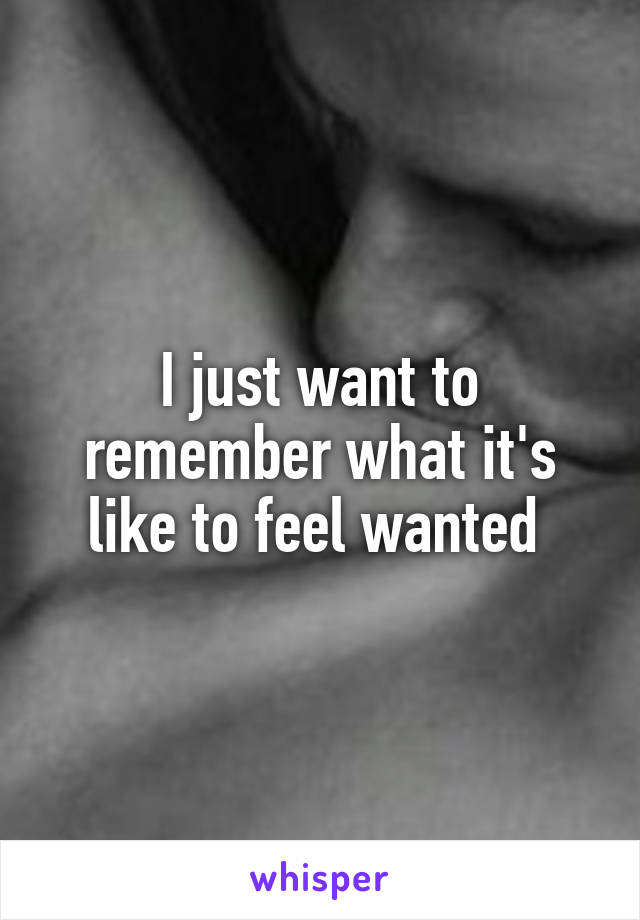 I just want to remember what it's like to feel wanted 