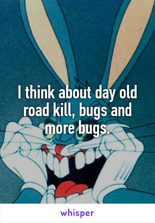 I think about day old road kill, bugs and more bugs.