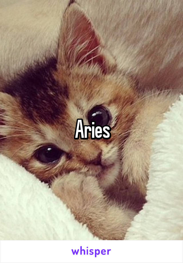 Aries