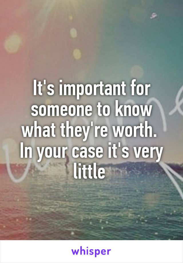 It's important for someone to know what they're worth. 
In your case it's very little 