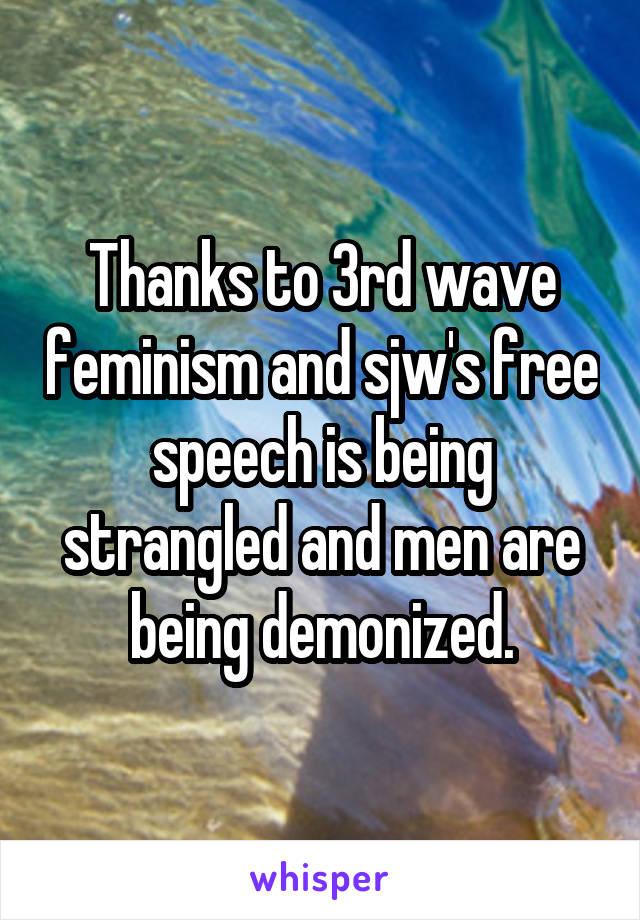 Thanks to 3rd wave feminism and sjw's free speech is being strangled and men are being demonized.
