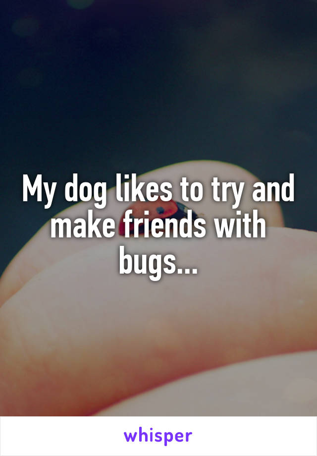 My dog likes to try and make friends with bugs...
