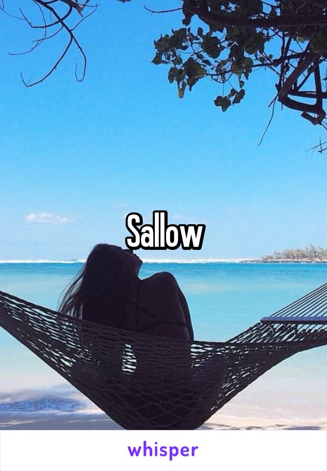 Sallow