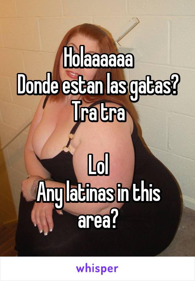 Holaaaaaa
Donde estan las gatas?
Tra tra

Lol
Any latinas in this area?