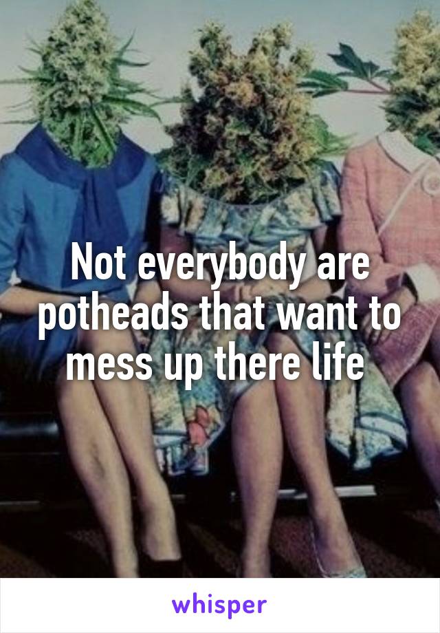 Not everybody are potheads that want to mess up there life 