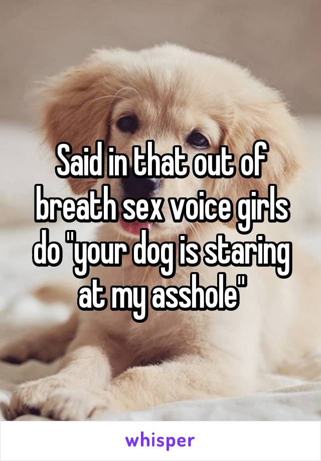 Said in that out of breath sex voice girls do "your dog is staring at my asshole"