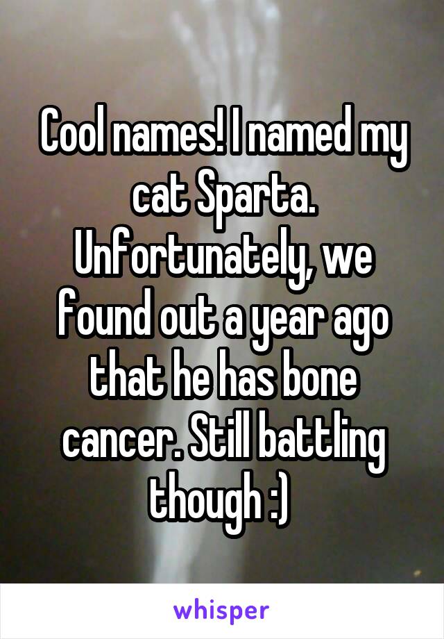 Cool names! I named my cat Sparta. Unfortunately, we found out a year ago that he has bone cancer. Still battling though :) 