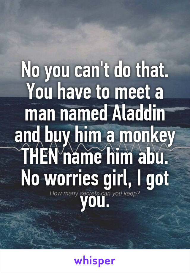 No you can't do that. You have to meet a man named Aladdin and buy him a monkey THEN name him abu. No worries girl, I got you.