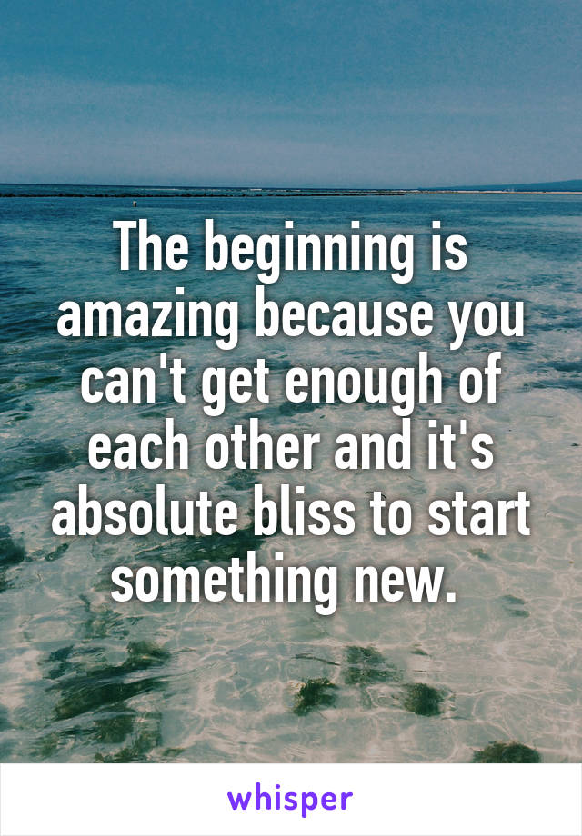 The beginning is amazing because you can't get enough of each other and it's absolute bliss to start something new. 