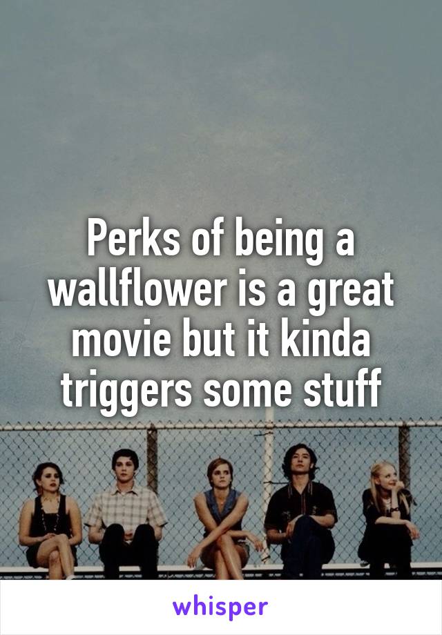 Perks of being a wallflower is a great movie but it kinda triggers some stuff