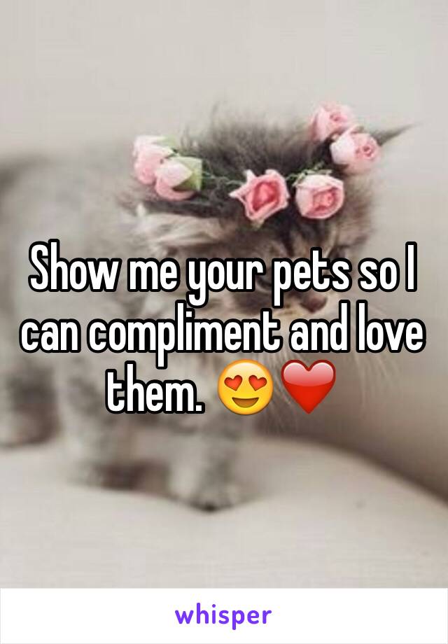 Show me your pets so I can compliment and love them. 😍❤️