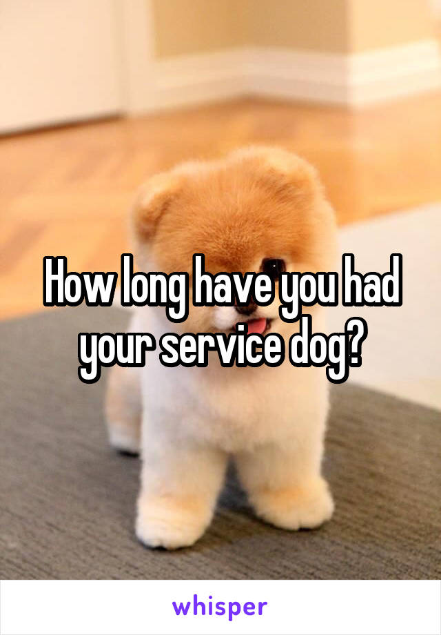 How long have you had your service dog?