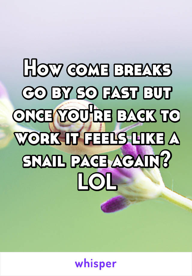 How come breaks go by so fast but once you're back to work it feels like a snail pace again?
LOL

