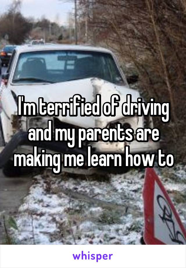 I'm terrified of driving and my parents are making me learn how to