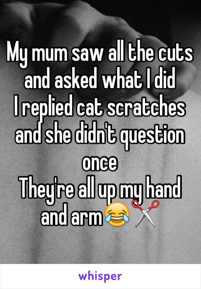 My mum saw all the cuts and asked what I did
I replied cat scratches and she didn't question once 
They're all up my hand and arm😂✂️