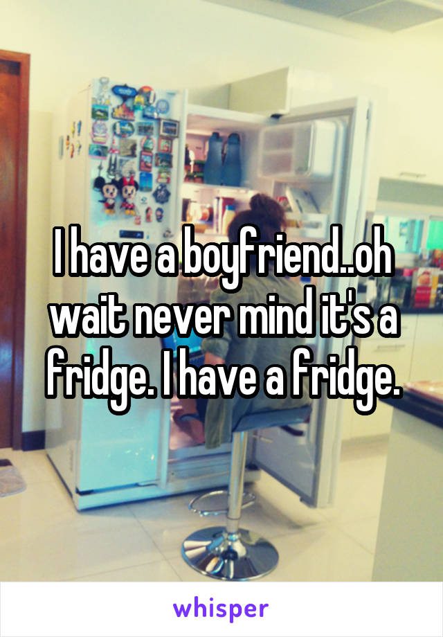 I have a boyfriend..oh wait never mind it's a fridge. I have a fridge.