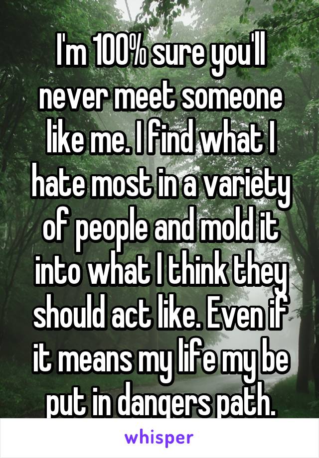 I'm 100% sure you'll never meet someone like me. I find what I hate most in a variety of people and mold it into what I think they should act like. Even if it means my life my be put in dangers path.