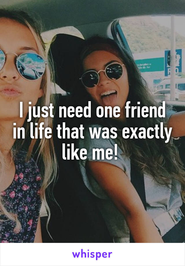 I just need one friend in life that was exactly like me! 