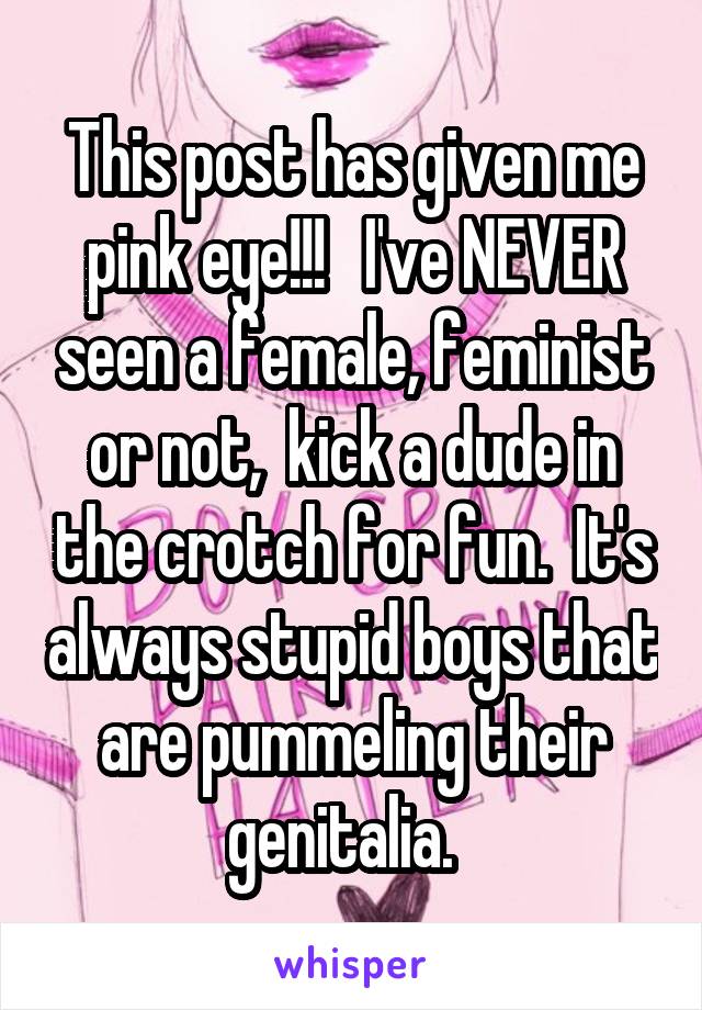 This post has given me pink eye!!!   I've NEVER seen a female, feminist or not,  kick a dude in the crotch for fun.  It's always stupid boys that are pummeling their genitalia.  