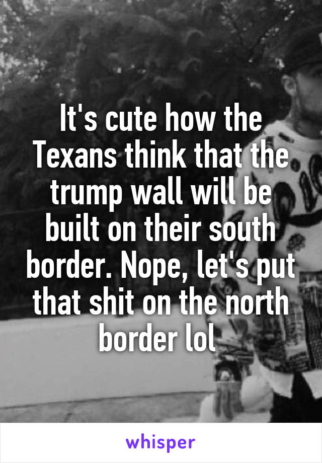 It's cute how the Texans think that the trump wall will be built on their south border. Nope, let's put that shit on the north border lol 