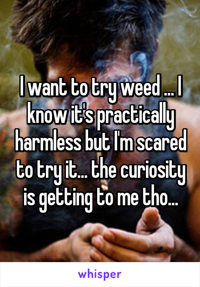 I want to try weed ... I know it's practically harmless but I'm scared to try it... the curiosity is getting to me tho...
