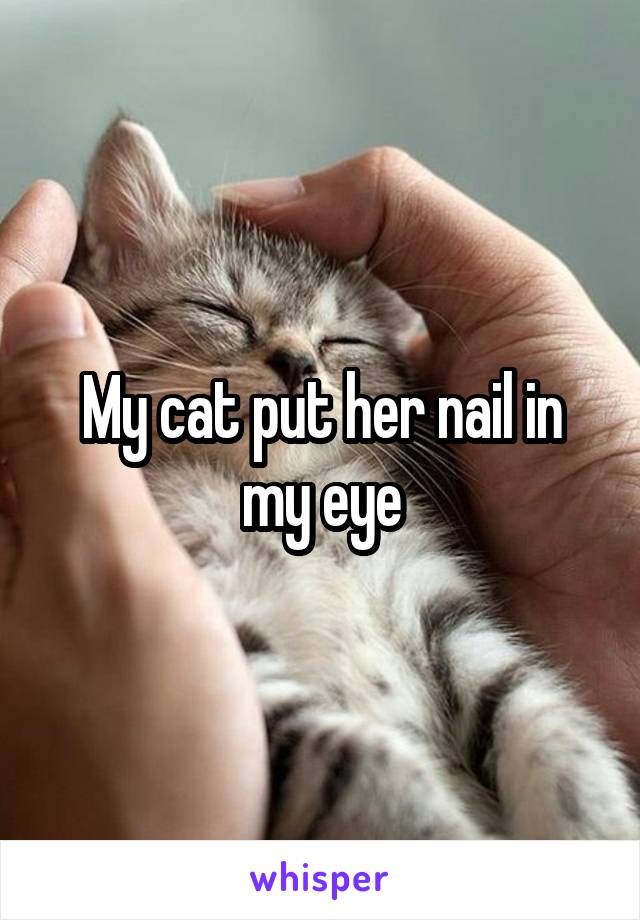 My cat put her nail in my eye