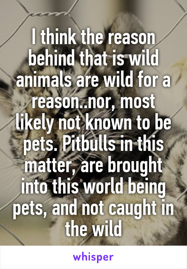 I think the reason behind that is wild animals are wild for a reason..nor, most likely not known to be pets. Pitbulls in this matter, are brought into this world being pets, and not caught in the wild