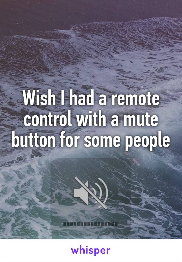 Wish I had a remote control with a mute button for some people 
