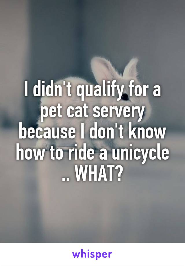 I didn't qualify for a pet cat servery because I don't know how to ride a unicycle .. WHAT?