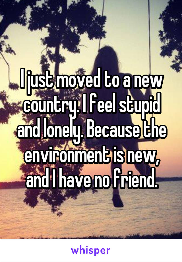 I just moved to a new country. I feel stupid and lonely. Because the environment is new, and I have no friend.