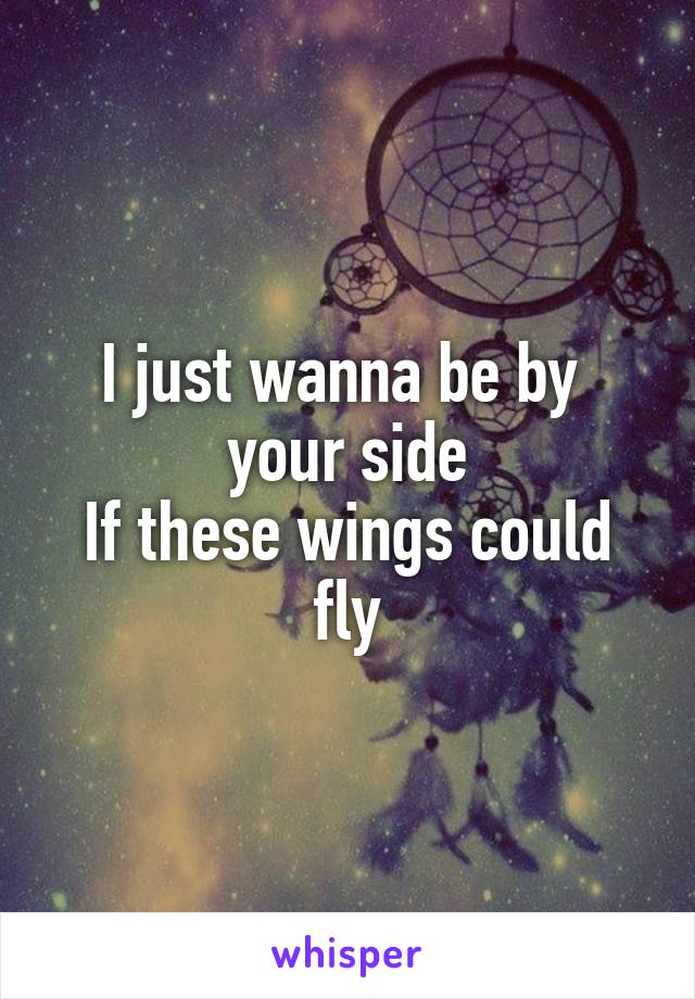 I just wanna be by 
your side
If these wings could fly