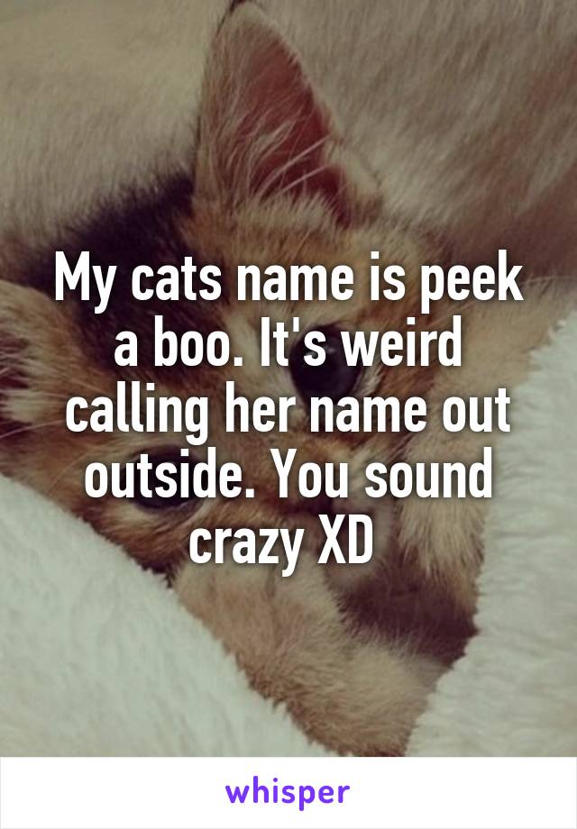 My cats name is peek a boo. It's weird calling her name out outside. You sound crazy XD 