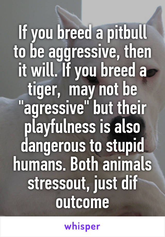 If you breed a pitbull to be aggressive, then it will. If you breed a tiger,  may not be "agressive" but their playfulness is also dangerous to stupid humans. Both animals stressout, just dif outcome