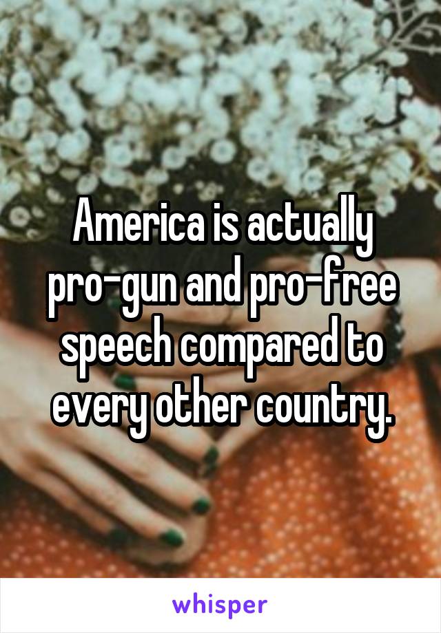 America is actually pro-gun and pro-free speech compared to every other country.
