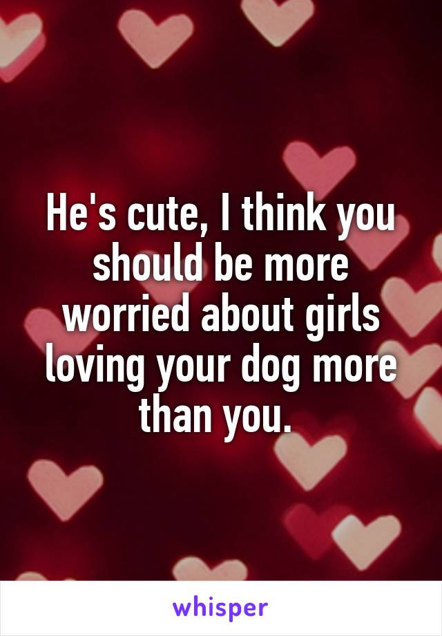 He's cute, I think you should be more worried about girls loving your dog more than you. 