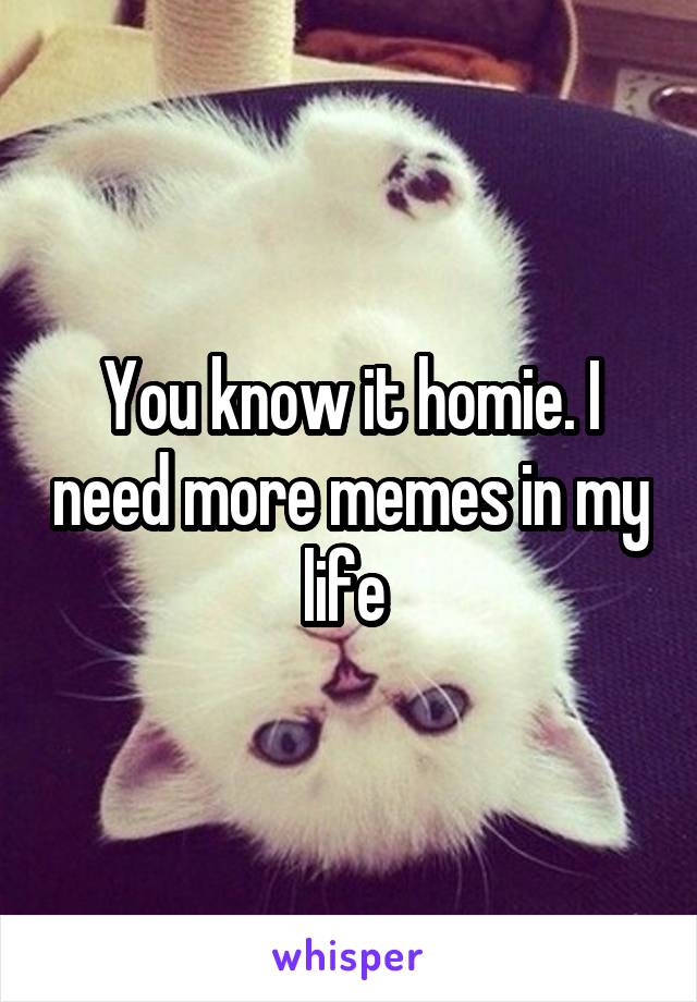 You know it homie. I need more memes in my life 