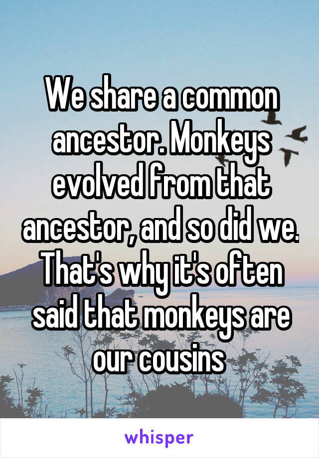 We share a common ancestor. Monkeys evolved from that ancestor, and so did we. That's why it's often said that monkeys are our cousins 