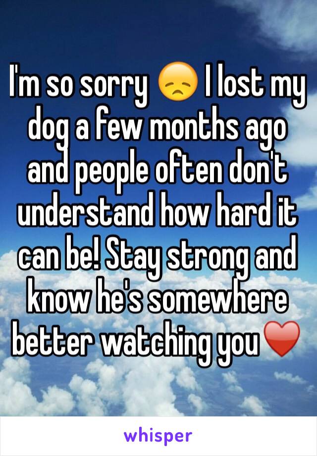 I'm so sorry 😞 I lost my dog a few months ago and people often don't understand how hard it can be! Stay strong and know he's somewhere better watching you♥️