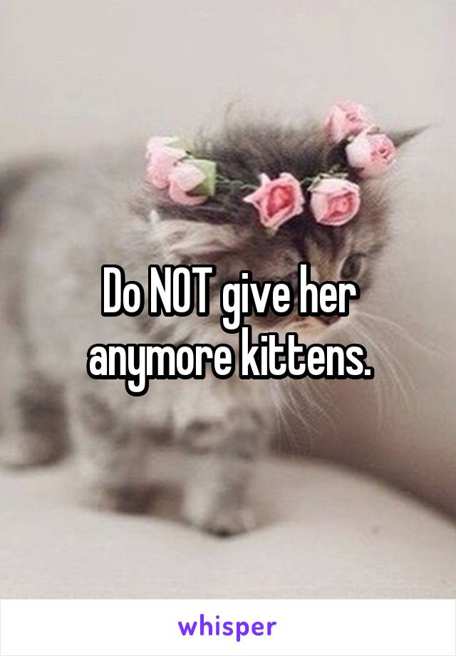 Do NOT give her anymore kittens.