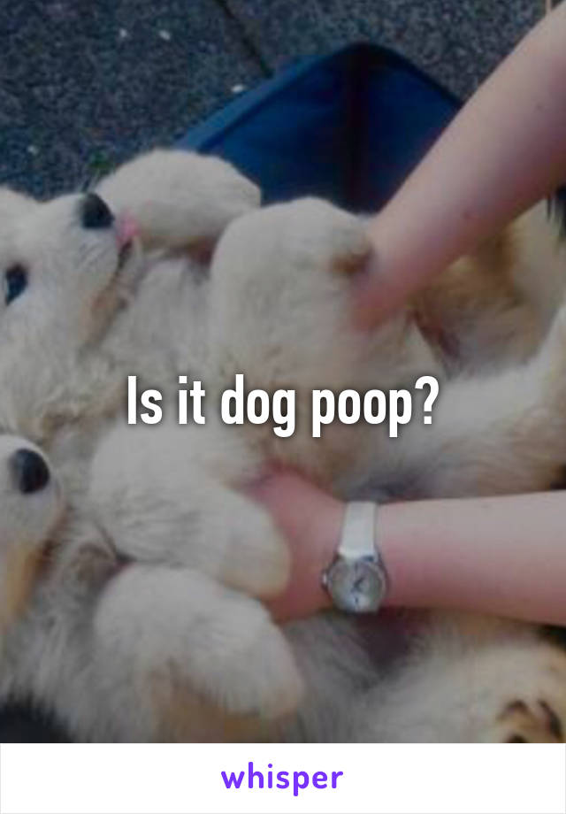 Is it dog poop?